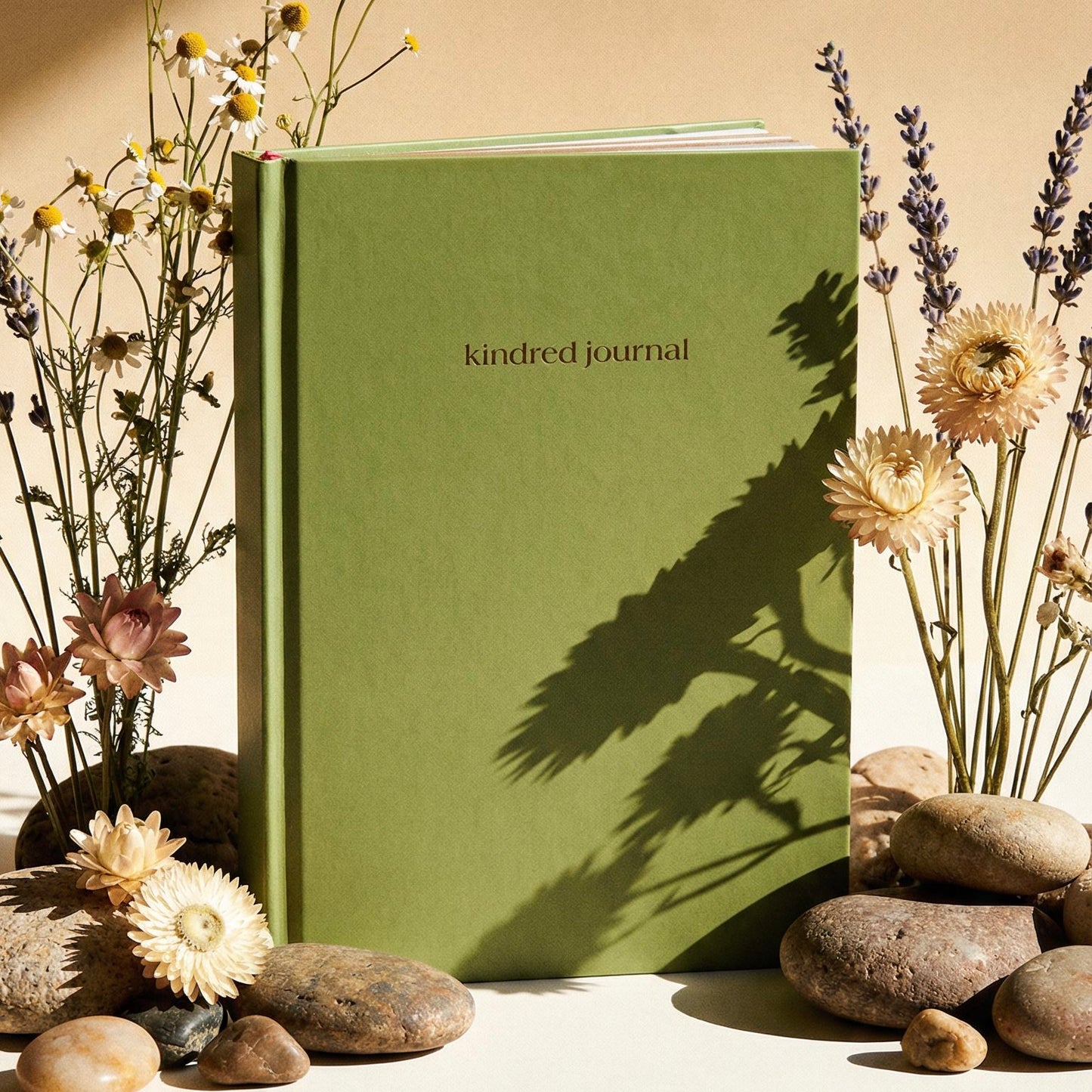 All 3 Bundle : Kindred Convo + Journal + Naked Convo