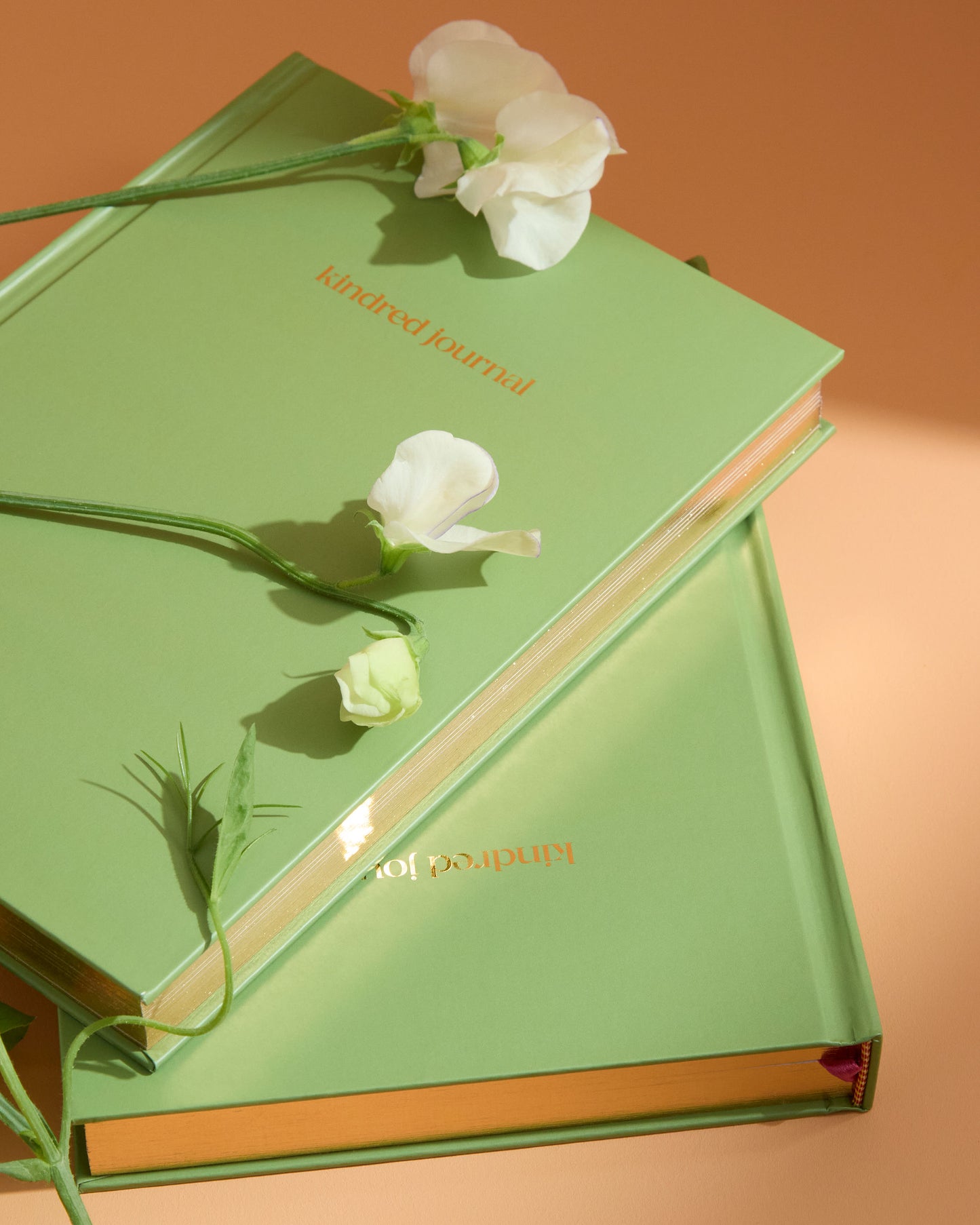 NEW! Kindred Journal